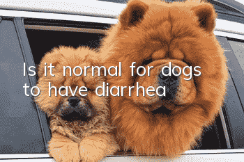 Is it normal for dogs to have diarrhea?
