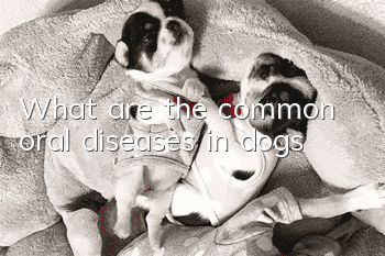 What are the common oral diseases in dogs?