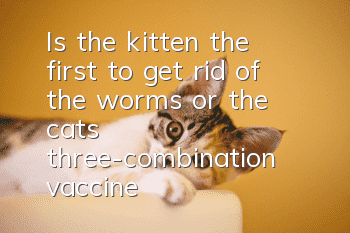 Is the kitten the first to get rid of the worms or the cat’s three-combination vaccine?