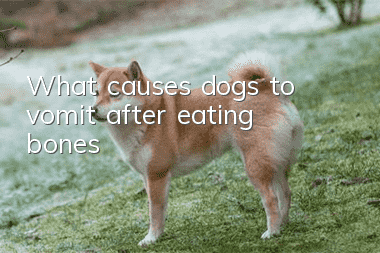 What causes dogs to vomit after eating bones?