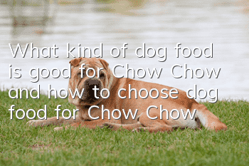 What kind of dog food is good for Chow Chow and how to choose dog food for Chow Chow
