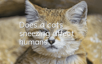 Does a cat’s sneezing affect humans?