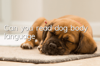 Can you read dog body language?