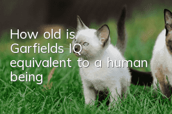 How old is Garfield's IQ equivalent to a human being?