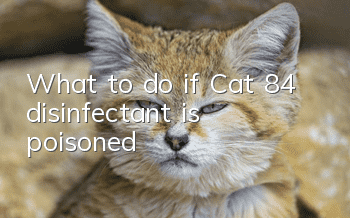 What to do if Cat 84 disinfectant is poisoned