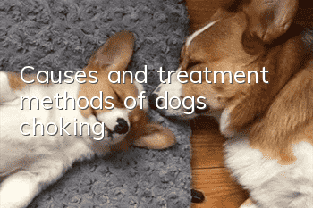 Causes and treatment methods of dogs choking