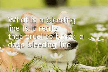 What is a bleeding line? Is it really that cruel to break a dog’s bleeding line?
