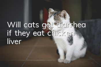 Will cats get diarrhea if they eat chicken liver?