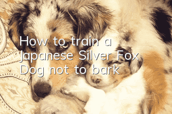 How to train a Japanese Silver Fox Dog not to bark