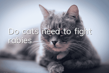 Do cats need to fight rabies?