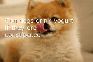 Can dogs drink yogurt if they are constipated?