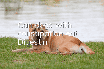 Can dogs with constipation eat Digestin?