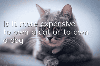 Is it more expensive to own a cat or to own a dog?