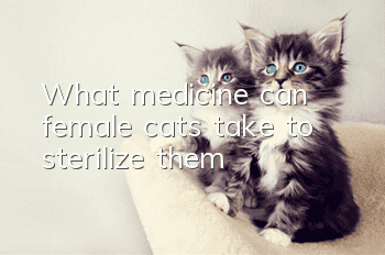 What medicine can female cats take to sterilize them?