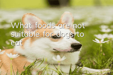 What foods are not suitable for dogs to eat?