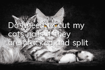 Do I need to cut my cat’s nails if they are cracked and split?