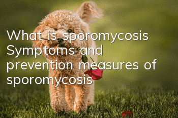 What is sporomycosis? Symptoms and prevention measures of sporomycosis