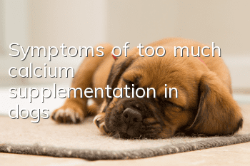Symptoms of too much calcium supplementation in dogs