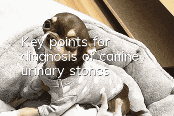 Key points for diagnosis of canine urinary stones