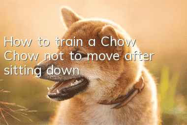 How to train a Chow Chow not to move after sitting down