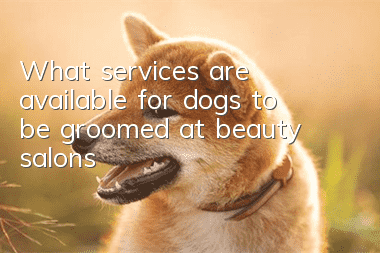 What services are available for dogs to be groomed at beauty salons?