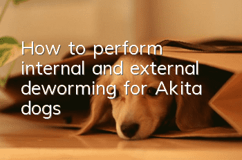 How to perform internal and external deworming for Akita dogs?