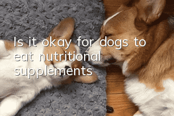 Is it okay for dogs to eat nutritional supplements?