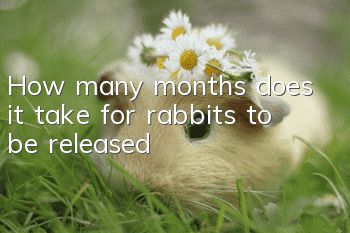 How many months does it take for rabbits to be released?