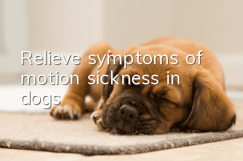 Relieve symptoms of motion sickness in dogs