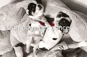 Can dogs get cancer?