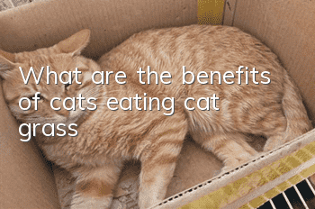 What are the benefits of cats eating cat grass?