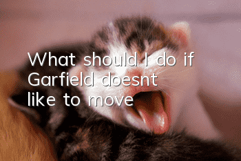 What should I do if Garfield doesn’t like to move?