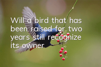 Will a bird that has been raised for two years still recognize its owner?