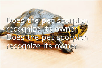 Does the pet scorpion recognize its owner? Does the pet scorpion recognize its owner?