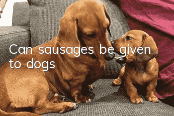 Can sausages be given to dogs?