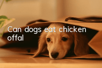 Can dogs eat chicken offal?