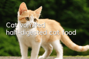 Cat vomited half-digested cat food