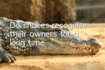 Do snakes recognize their owners for a long time?