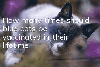 How many times should blue cats be vaccinated in their lifetime?