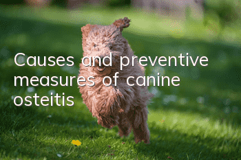 Causes and preventive measures of canine osteitis