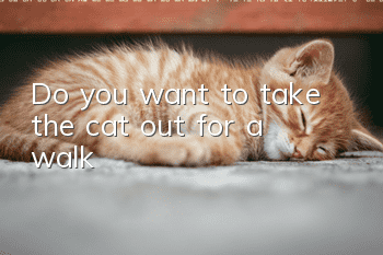 Do you want to take the cat out for a walk?