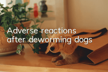 Adverse reactions after deworming dogs