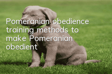 Pomeranian obedience training methods to make Pomeranian obedient