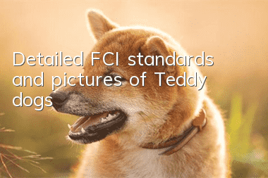 Detailed FCI standards and pictures of Teddy dogs