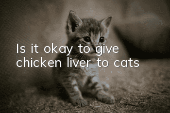 Is it okay to give chicken liver to cats?