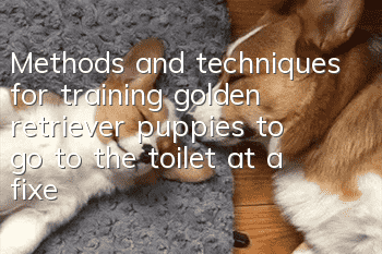 Methods and techniques for training golden retriever puppies to go to the toilet at a fixed location