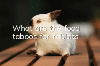 What are the food taboos for rabbits?