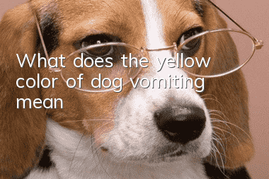What does the yellow color of dog vomiting mean?