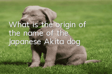 What is the origin of the name of the Japanese Akita dog?