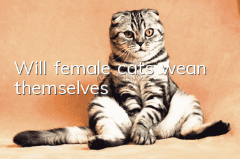 Will female cats wean themselves?